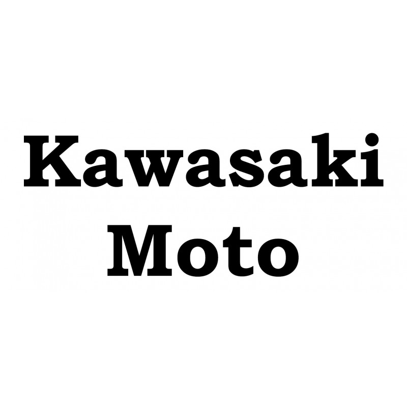 ZZ Kawasaki Moto