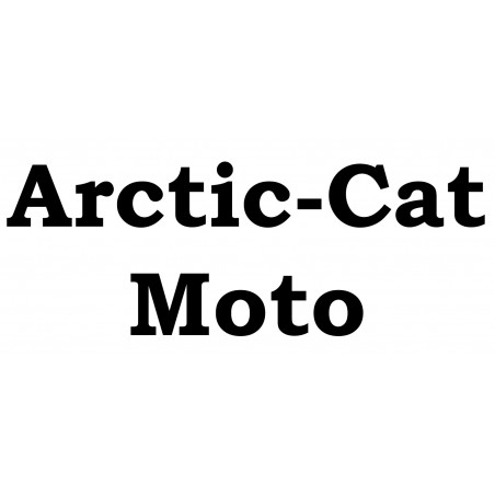 ZZ Arctic Cat Moto