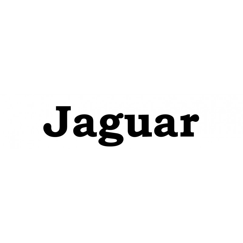 Jaguar