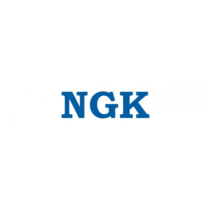 Ngk